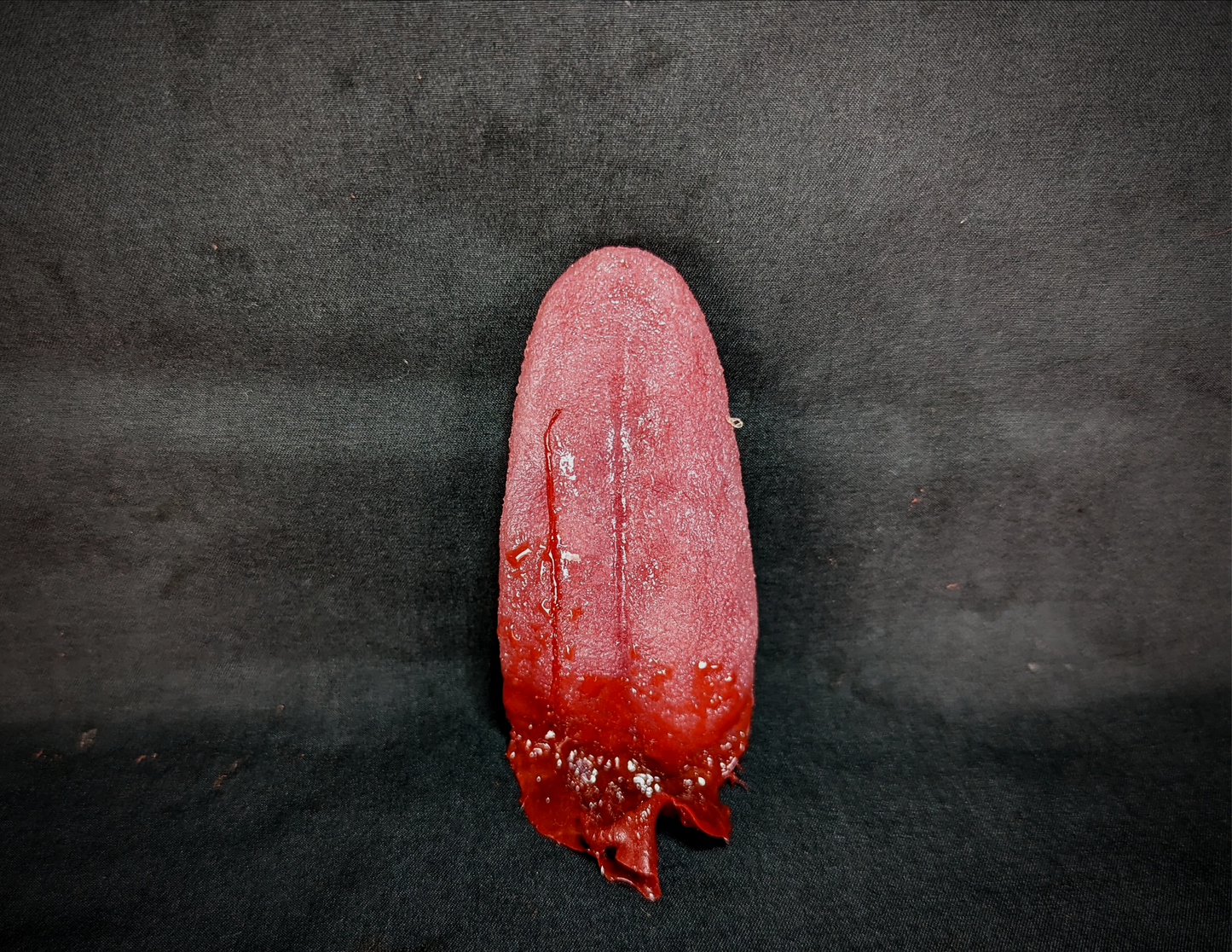 BP- Tongues