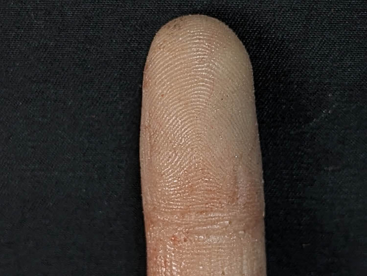 BP- Fingers