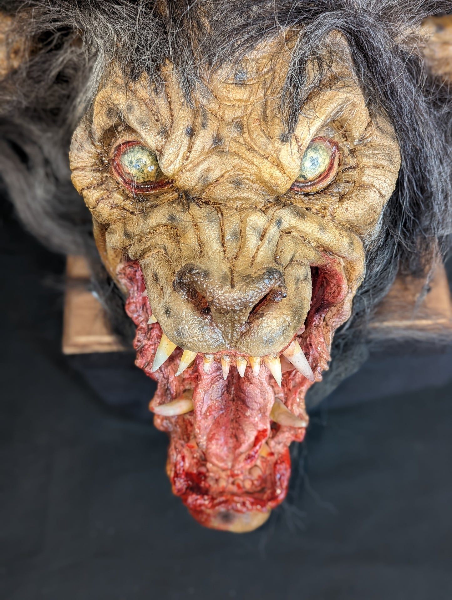 Creature Head- Large Werewolf