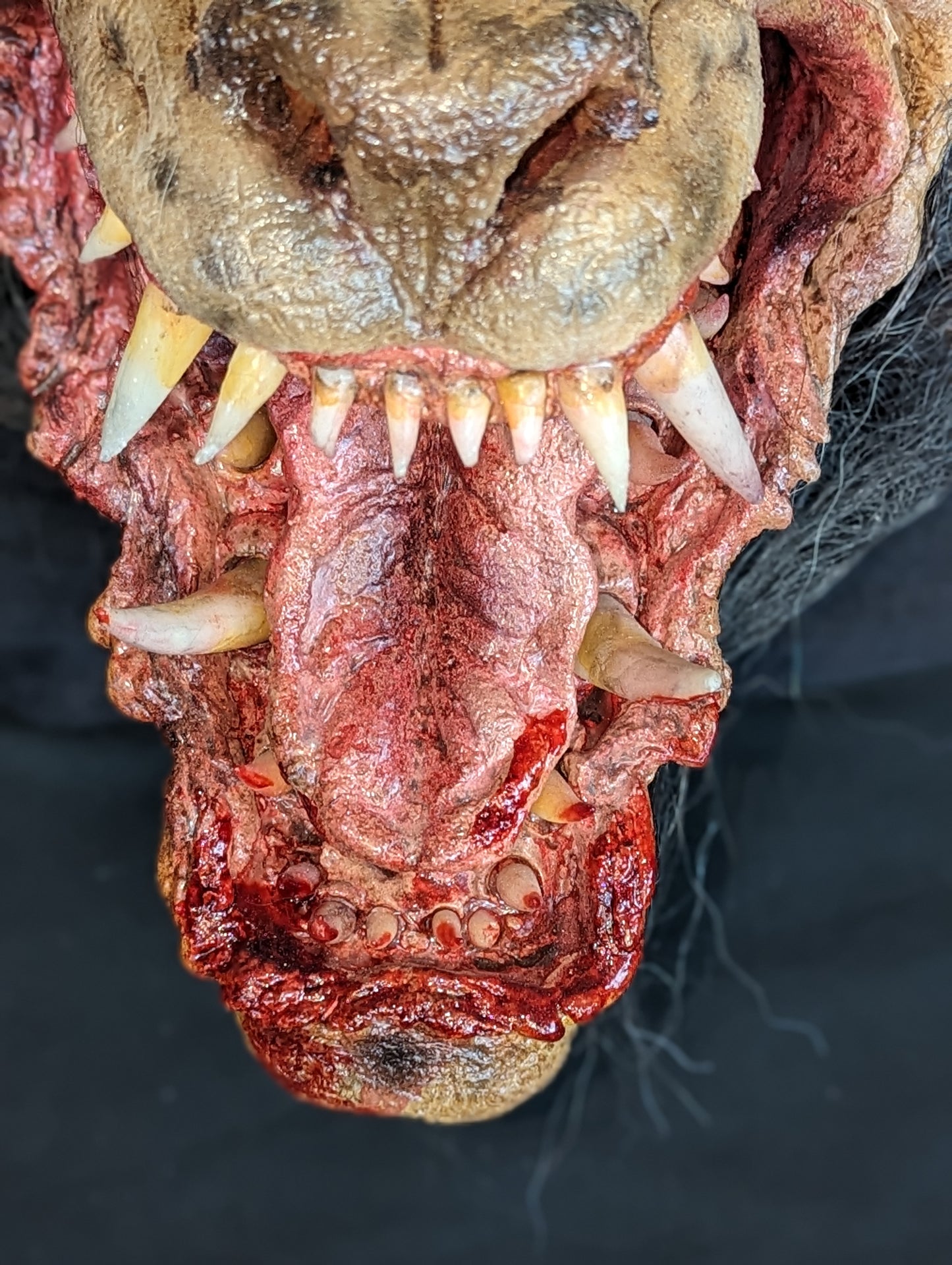 Creature Head- Large Werewolf