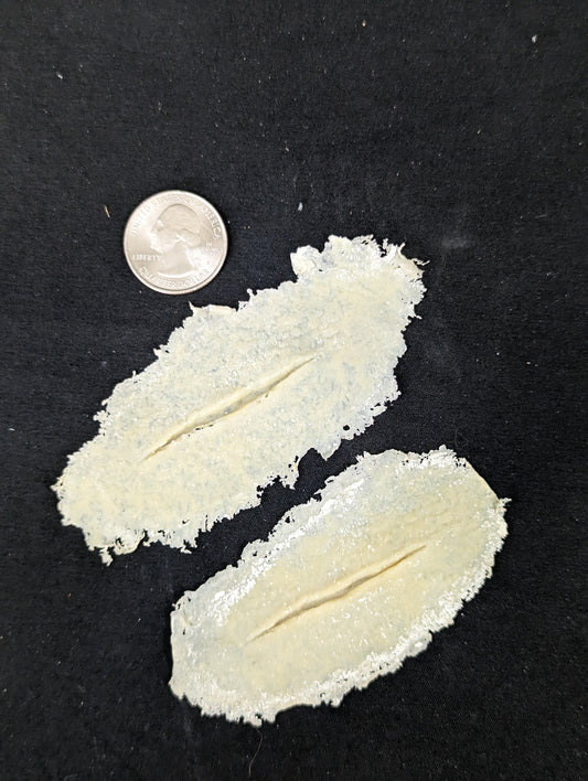 Prosthetics- Wound/Cut